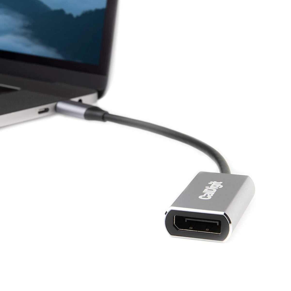 USB-C to DisplayPort 1.4 8K HDR Adapter – CalDigit US Shop